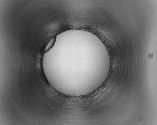 X0000103161346200808221142