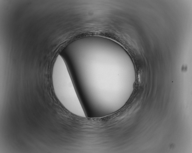 X0000103161347200808221142