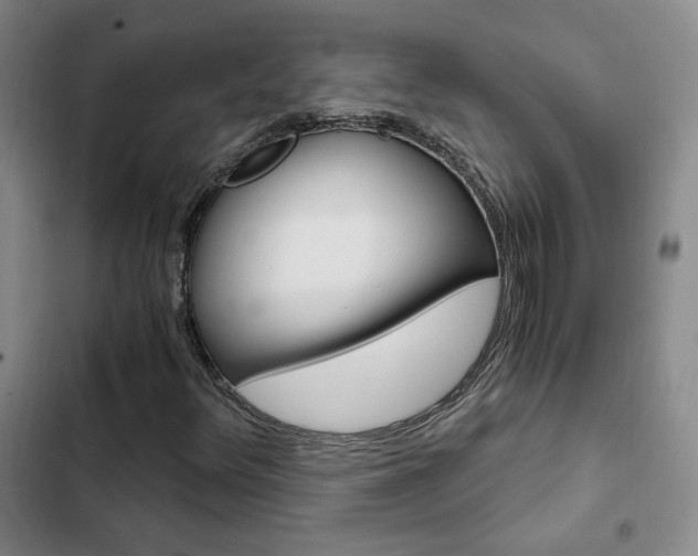 X0000103161348200808221142
