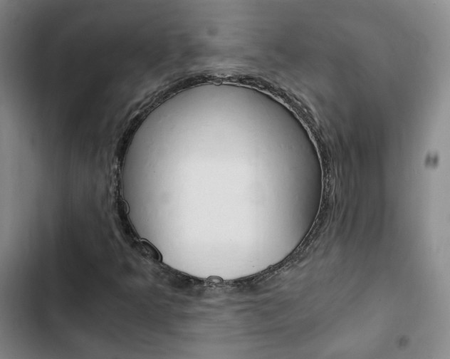 X0000103161349200808221142