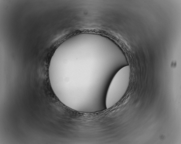 X0000103161350200808221142