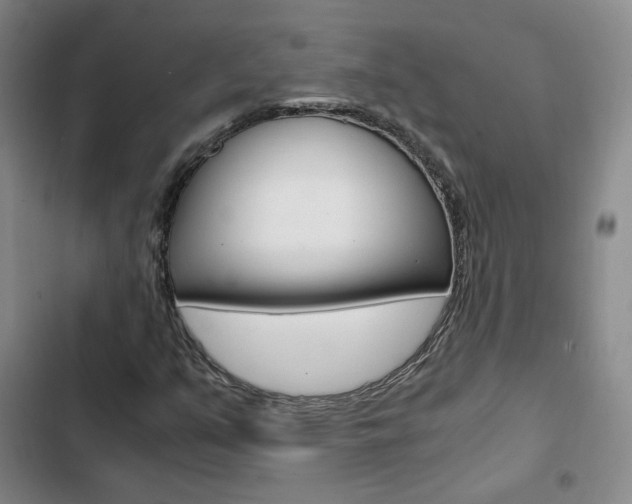 X0000103161351200808221142