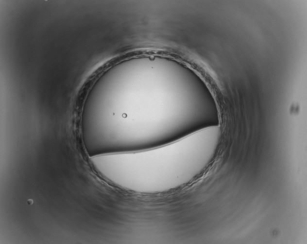 X0000103161352200808221142