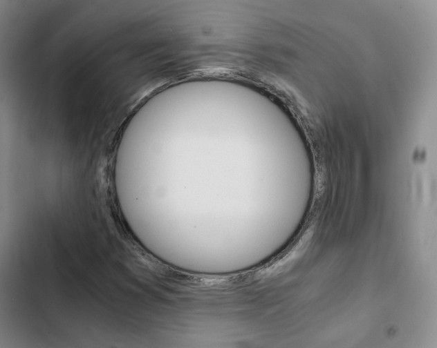 X0000103161353200808221142