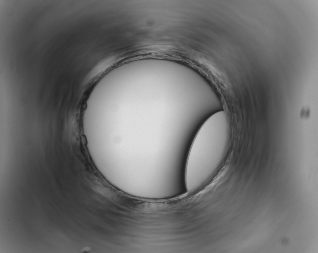 X0000103161354200808221142
