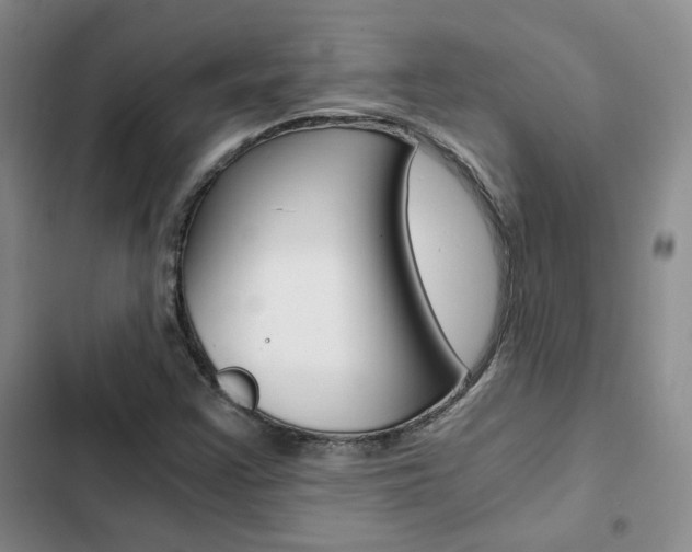 X0000103161355200808221142