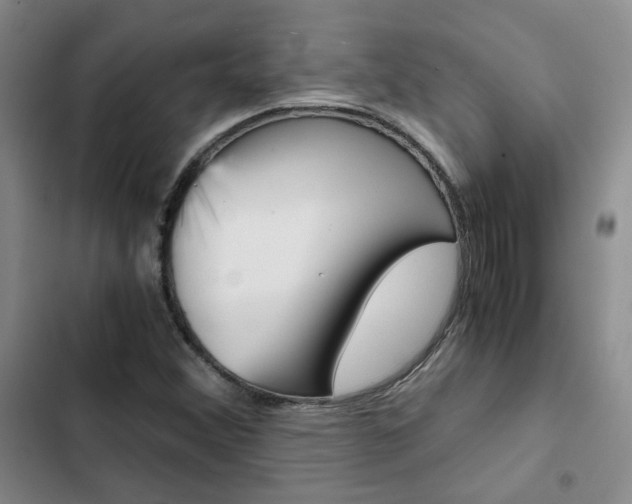 X0000103161356200808221142