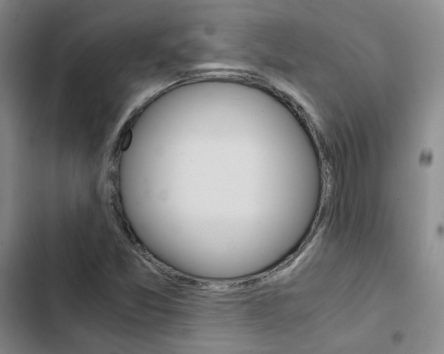 X0000103161357200808221142