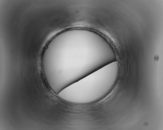 X0000103161358200808221142