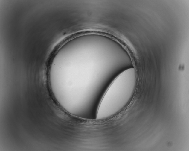 X0000103161360200808221142