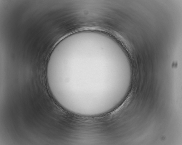 X0000103161361200808221142