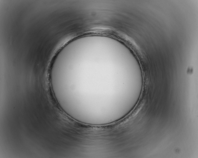 X0000103161362200808221142