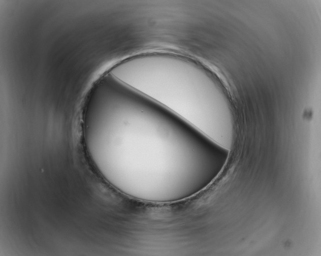 X0000103161363200808221142