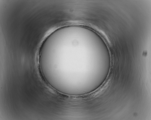 X0000103161365200808221142