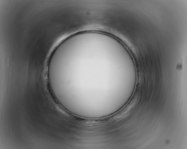 X0000103161366200808221142