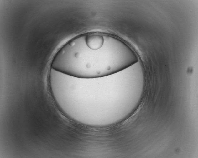 X0000103161367200808221142