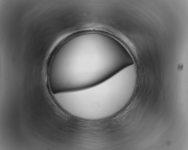 X0000103161368200808221142