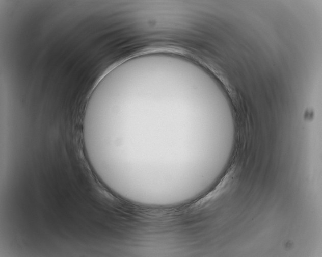 X0000103161369200808221142
