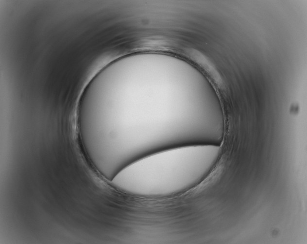 X0000103161370200808221142