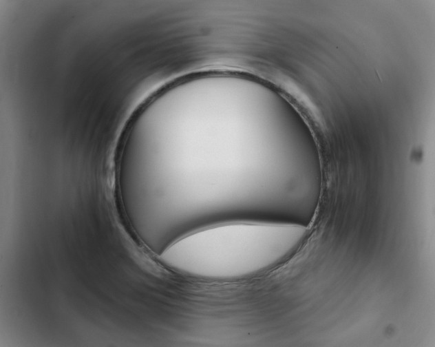 X0000103161372200808221142