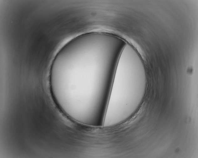 X0000103161375200808221142