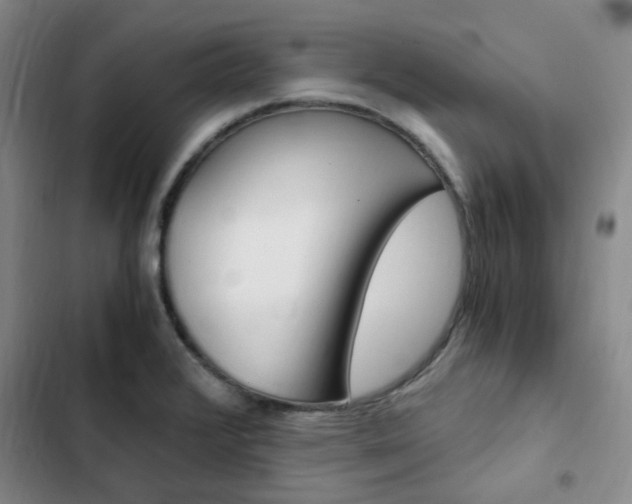 X0000103161376200808221142
