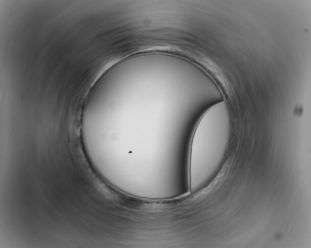 X0000103161377200808221142