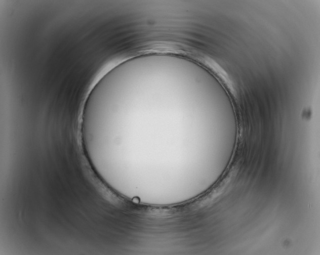 X0000103161378200808221142
