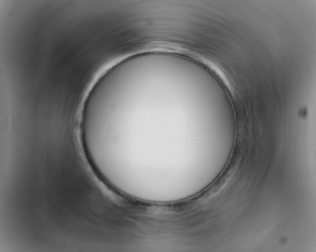 X0000103161379200808221142
