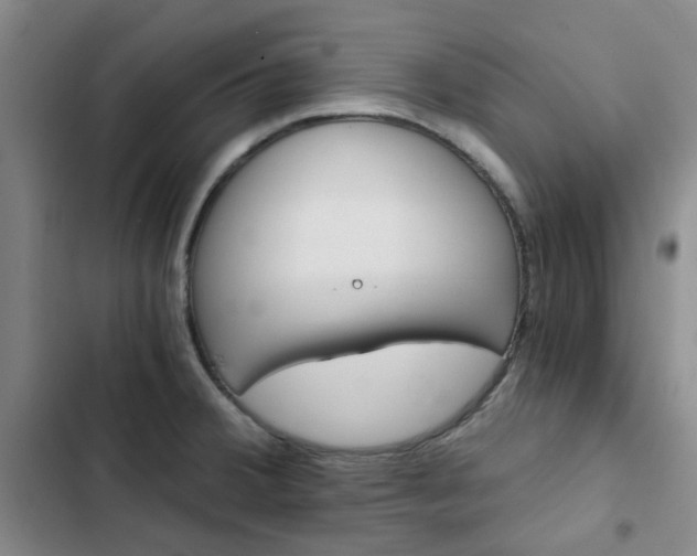 X0000103161380200808221142