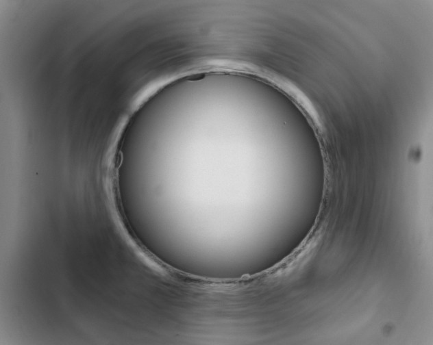 X0000103161381200808221142