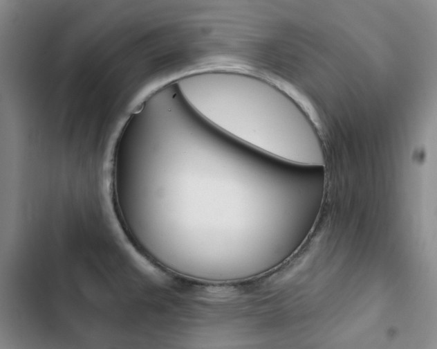 X0000103161383200808221142