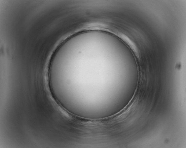X0000103161384200808221142
