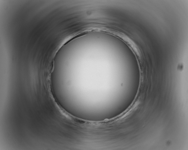 X0000103161385200808221142