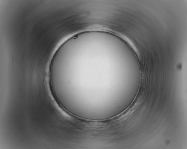 X0000103161387200808221141