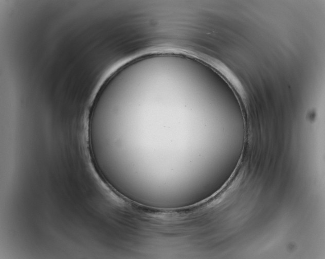 X0000103161388200808221141
