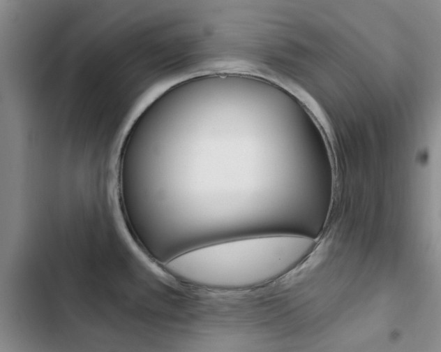 X0000103161389200808221141