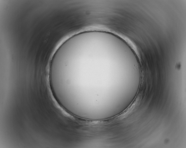 X0000103161390200808221141