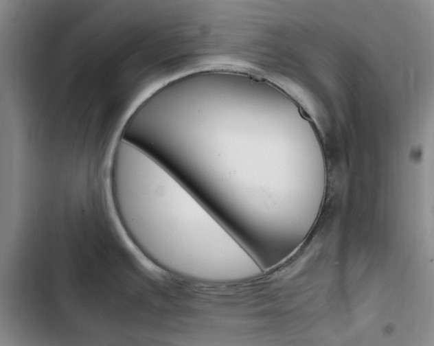X0000103161391200808221141