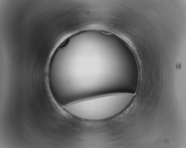 X0000103161392200808221141