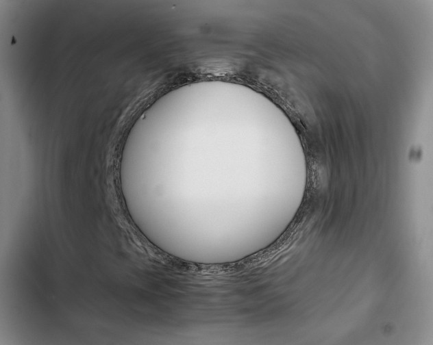 X0000103161393200808221141