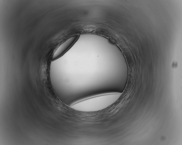 X0000103161394200808221141