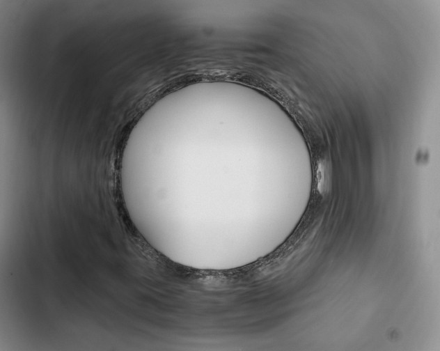 X0000103161395200808221141
