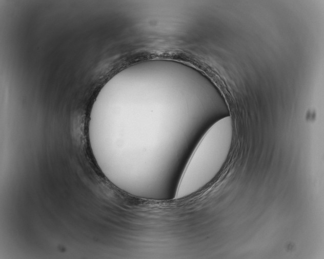 X0000103161396200808221141