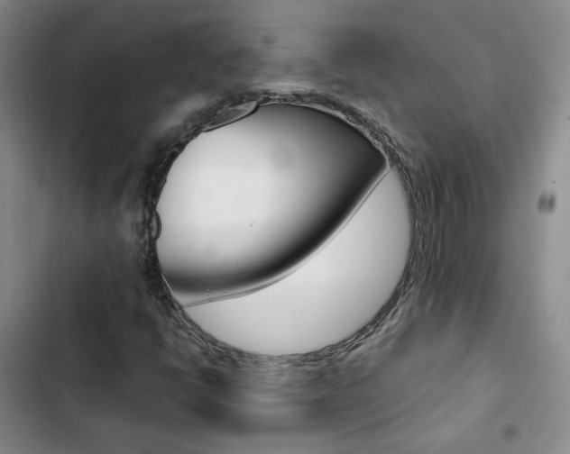 X0000103161398200808221141