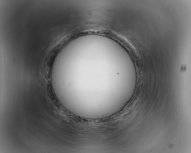 X0000103161399200808221141
