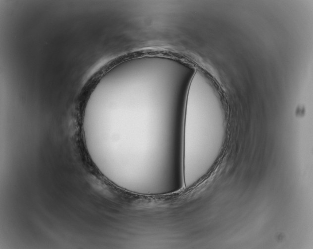 X0000103161400200808221141