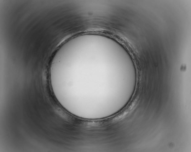 X0000103161401200808221141