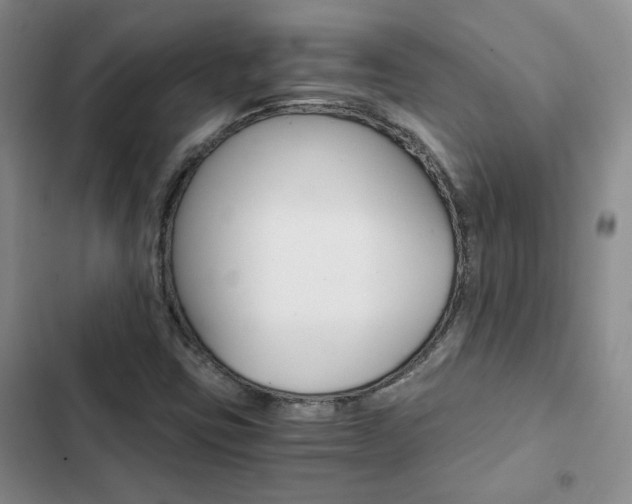 X0000103161403200808221141