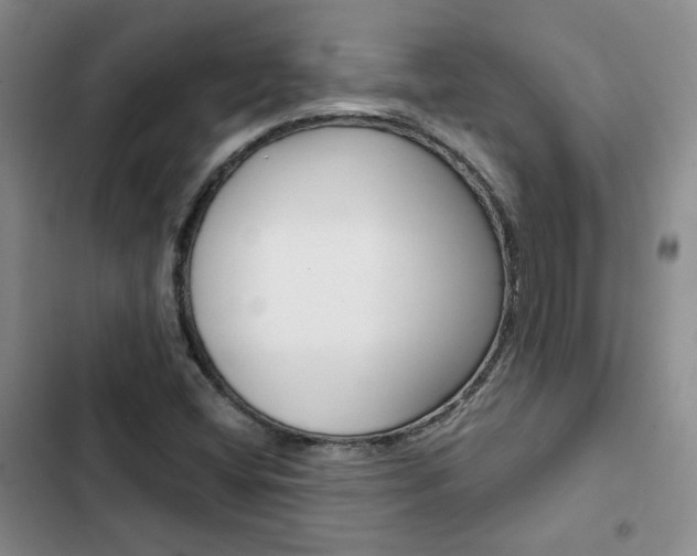 X0000103161404200808221141